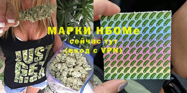 гидра Белоозёрский
